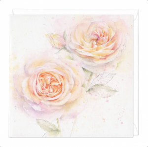 Beautiful Pink Rose Greeting Card